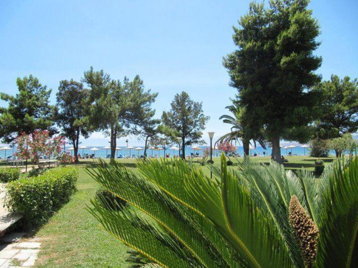 Nafsika Beach Delphi-Itea Ngoại thất bức ảnh